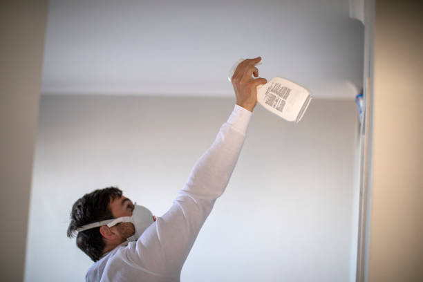 Best Mold Cleaning Services  in Burton, MI