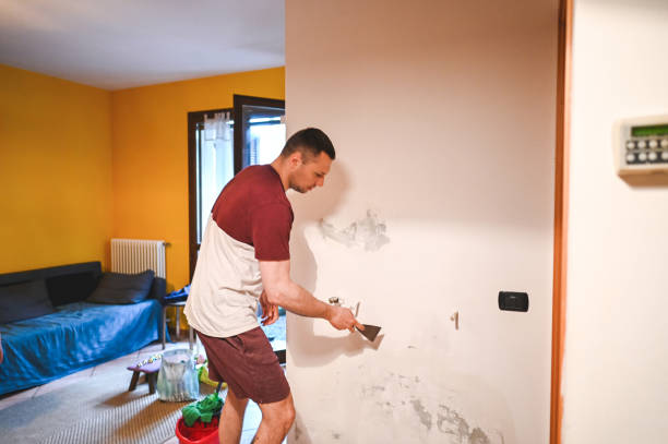 Best Certified Mold Removal  in Burton, MI